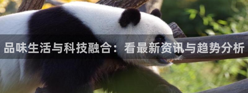 品味生活与科技融合：看最新资讯与趋势分析
