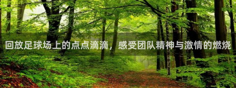 回放足球场上的点点滴滴，感受团队精神与激情的燃烧